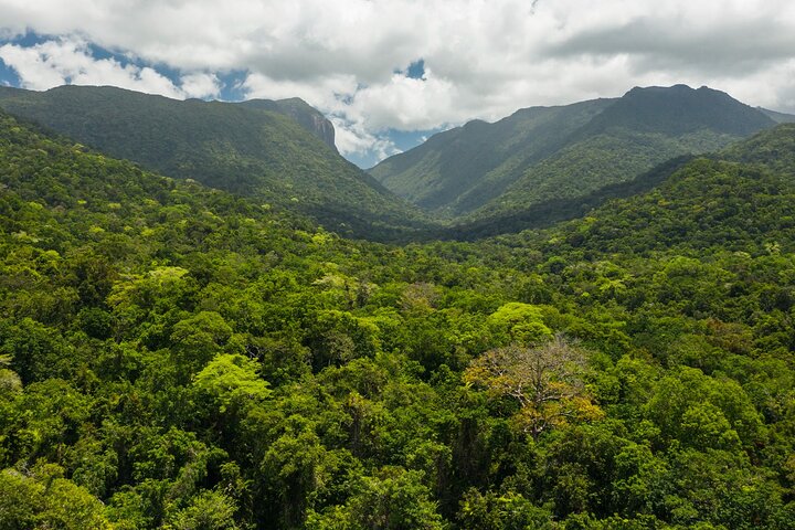 Small Group Daintree Rainforest and Aboriginal Coastal Adventure