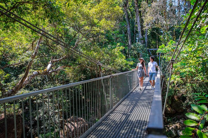 Small Group Daintree Rainforest and Aboriginal Coastal Adventure