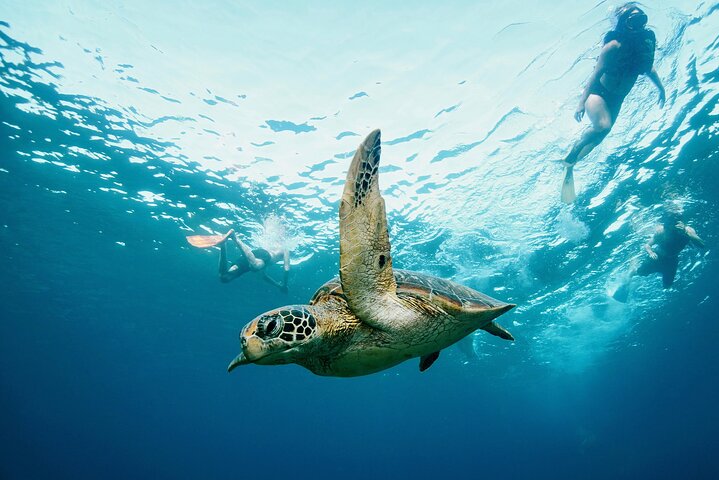 Nusa Penida day trip: boat, 4 snorkeling, Manta rays & Land tour