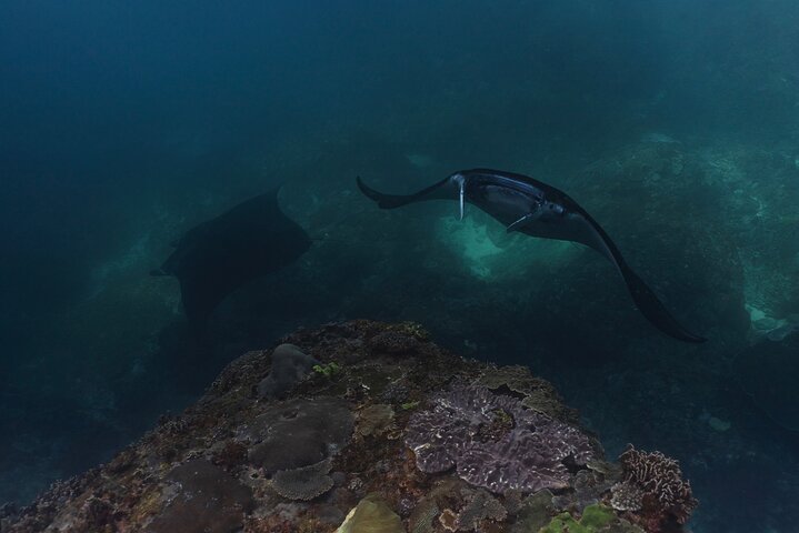 Nusa Penida day trip: boat, 4 snorkeling, Manta rays & Land tour