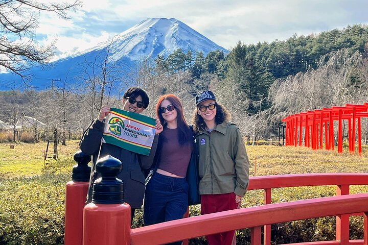 Mt Fuji and Hakone 1-Day Bus Tour Return by Bus