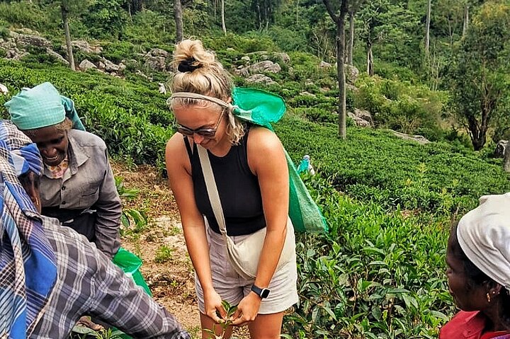 Sigiriya, Kandy to Ella TRain Ride plus Up Country TEA[B&B Basis]