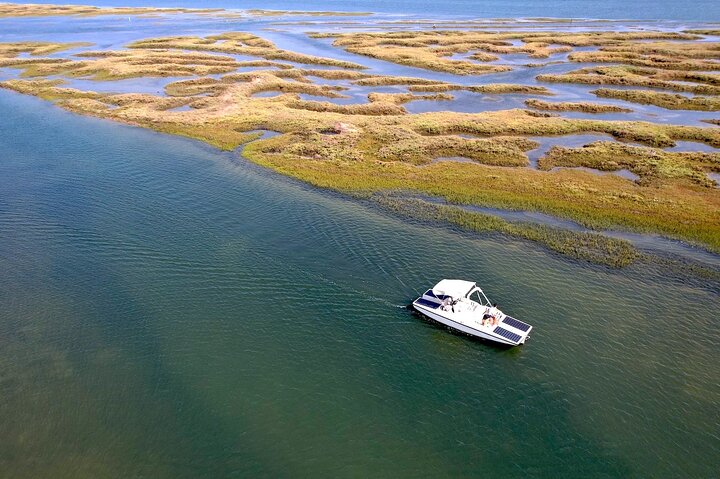 Eco Boat Tour in the Ria Formosa Lagoon from Faro