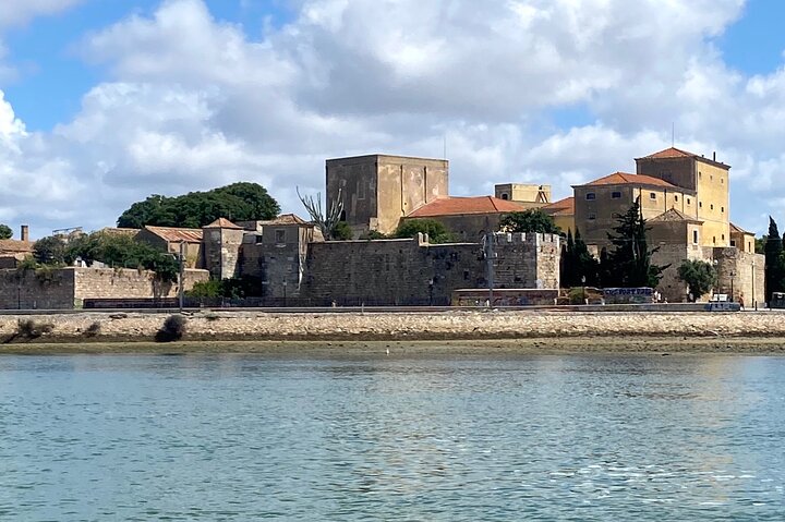 Eco Boat Tour in the Ria Formosa Lagoon from Faro