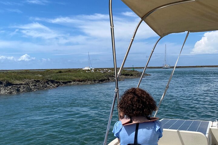 Eco Boat Tour in the Ria Formosa Lagoon from Faro