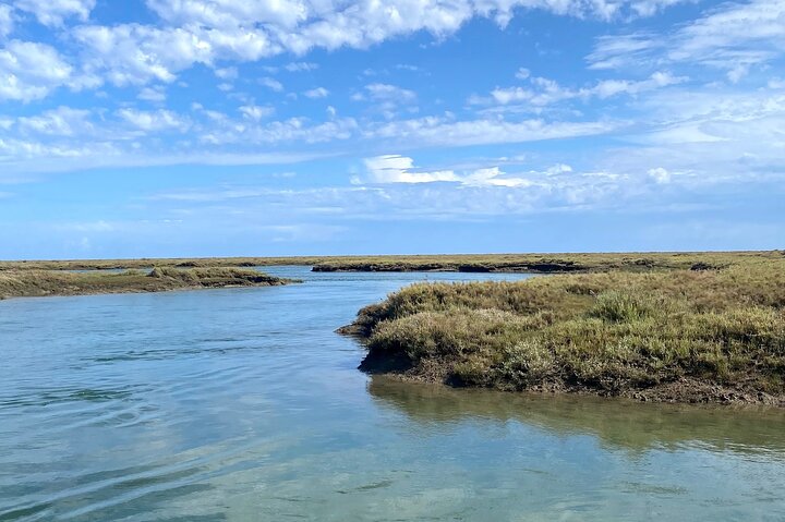 Eco Boat Tour in the Ria Formosa Lagoon from Faro