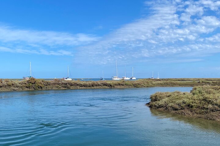 Eco Boat Tour in the Ria Formosa Lagoon from Faro