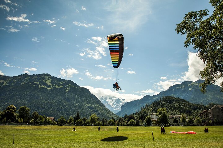 Zurich: Grindelwald, Interlaken & Lauterbrunnen Guided Day Trip