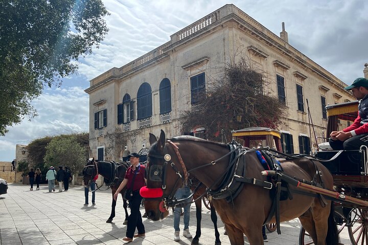 Mdina and Rabat Walking Tour inc. Catacombs and St. Paul's Grotto