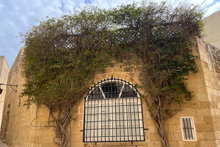 Mdina and Rabat Walking Tour inc. Catacombs and St. Paul's Grotto