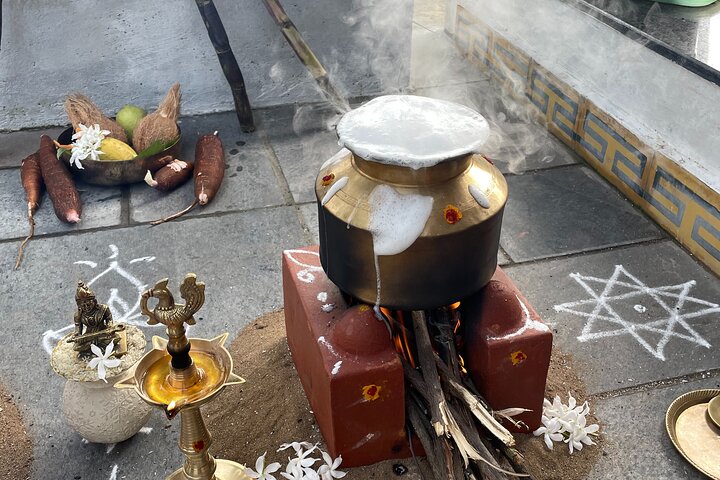 Harvest Harmony Pongal Festivity at the Farm
