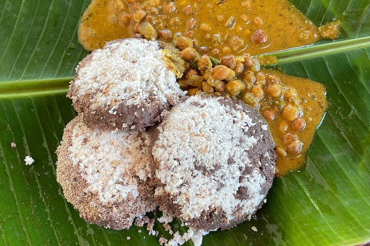 Harvest Harmony Pongal Festivity at the Farm