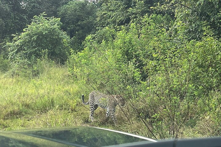 2 Days Akagera Wilderness Safari Big 5 and Highest Peak Camping