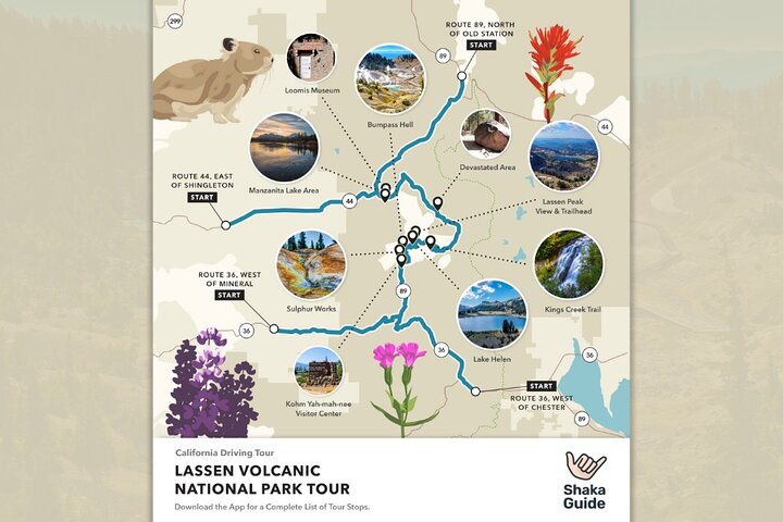 California Adventure Bundle: 13 Self-Guided Audio Tours
