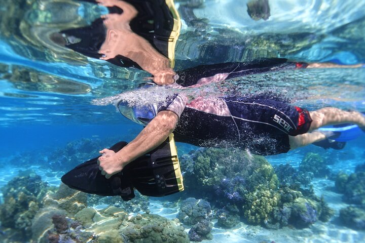 Sea Scooter Jet Snorkeling : Swim with Turtles, Rays & Sharks