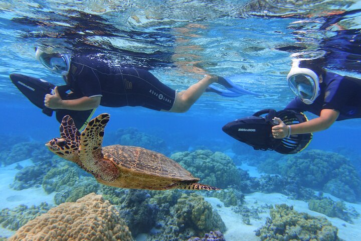 Sea Scooter Jet Snorkeling : Swim with Turtles, Rays & Sharks