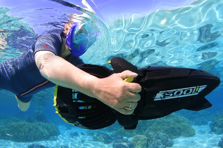 Sea Scooter Jet Snorkeling : Swim with Turtles, Rays & Sharks