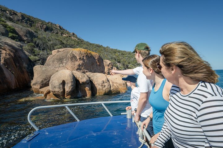 Wineglass Bay Shared Cruise and Walking Tour