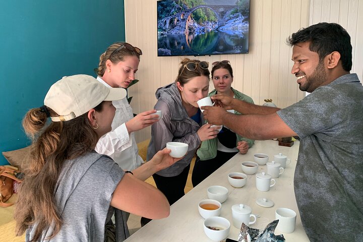 Ella's Ceylon Tea Plantation and Factory Tour