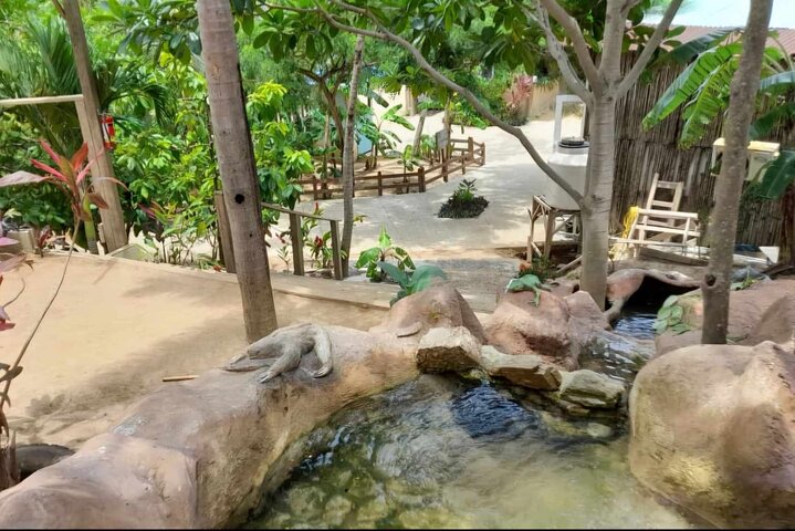 Roatan Zip Line Adventure with Monkey & Sloths Combo