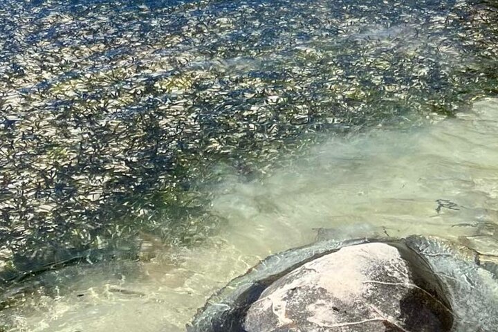 Seychelles Island Tour
