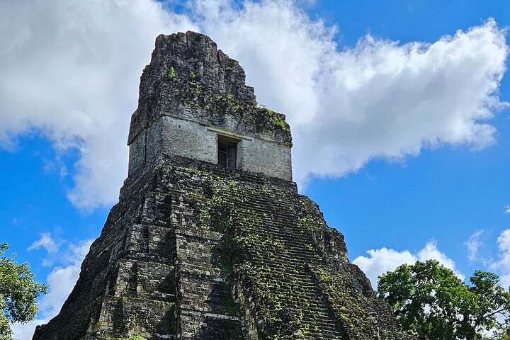 All Inclusive Tikal Tour from Flores and Airport