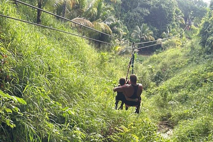 Roatan Jungle Top Zip Line, Wildlife Eco-Park and Snorkel