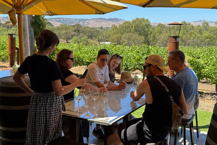Discover Barossa: 4 Wine Tastings, Gourmet Lunch, and Hidden Gems