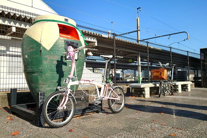Slow Cycling Tour at Uji's Matcha Green Tea Fields and Heritage