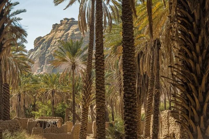Private Tour to AlUla Discover Elephant Rock and Many Hidden Gems