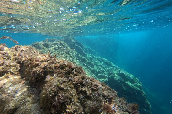 Costa Brava - Kayaking and Snorkeling "Sea Caves" Tour