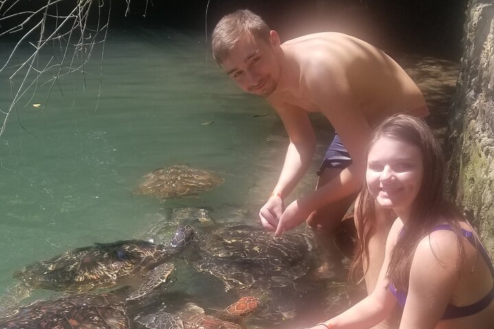 Full day: Snorkeling Dolphin Aquarium Turtles Sunset Kendwa Beach