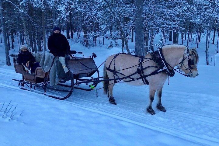 Sleigh or wagon ride in the arctic Country side