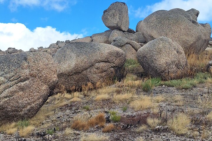 Sierra da Estrela Guided Hiking Tour - Wild Boar Route & Stories