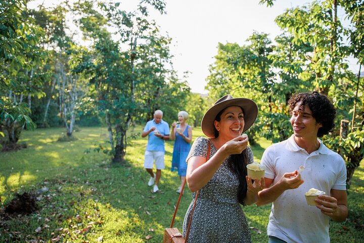 Daintree Rainforest and Cape Tribulation Day Tour from Cairns