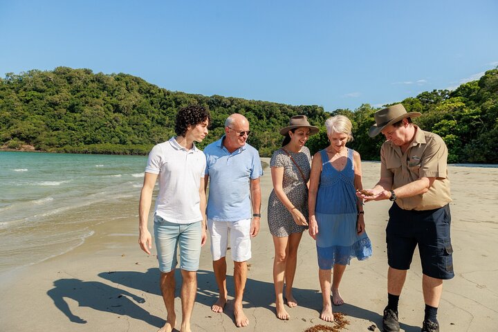 Daintree Rainforest and Cape Tribulation Day Tour from Cairns