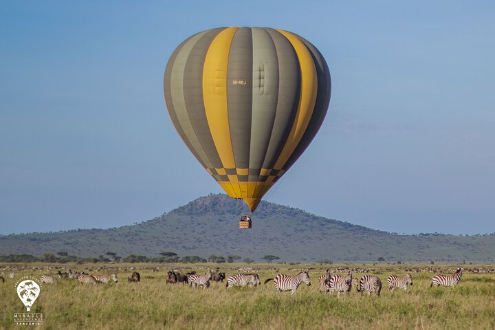 Balloon Safari & Bush Breakfast in Serengeti - Miracle Experience