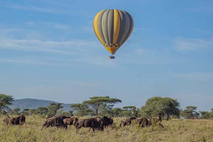 Balloon Safari & Bush Breakfast in Serengeti - Miracle Experience