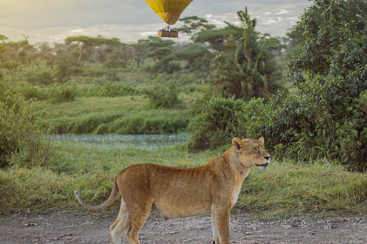 Balloon Safari & Bush Breakfast in Serengeti - Miracle Experience