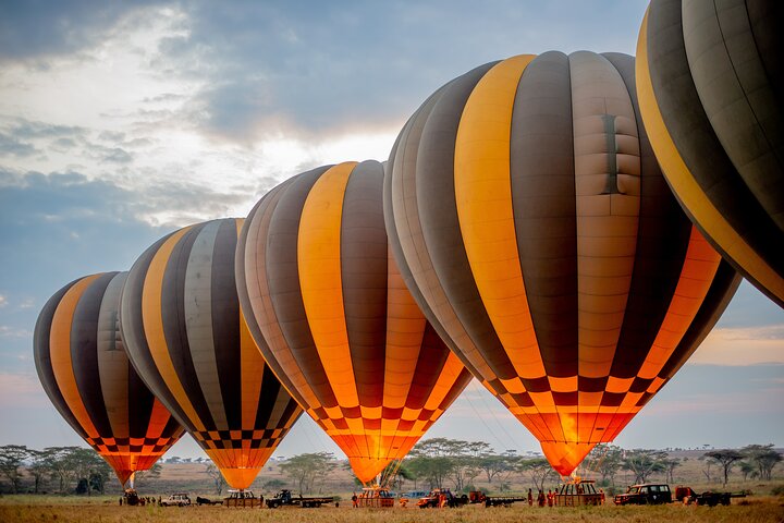 Balloon Safari & Bush Breakfast in Serengeti - Miracle Experience