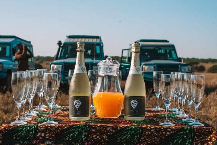 Balloon Safari & Bush Breakfast in Tarangire - Miracle Experience