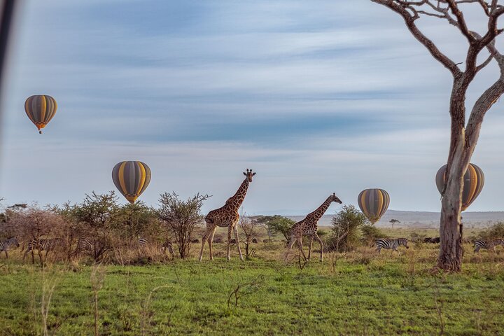 Balloon Safari & Bush Breakfast in Serengeti - Miracle Experience
