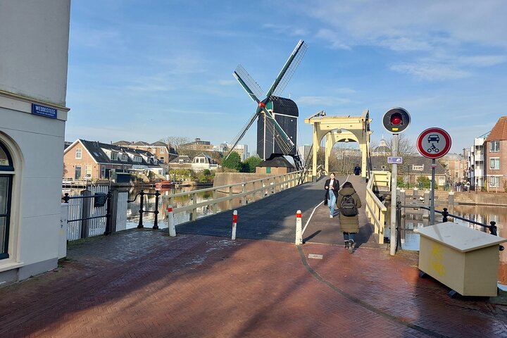 Leiden & Delft: Half-Day Private Tour including Transfer
