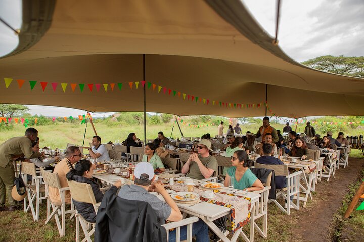 Balloon Safari & Bush Breakfast in Serengeti - Miracle Experience
