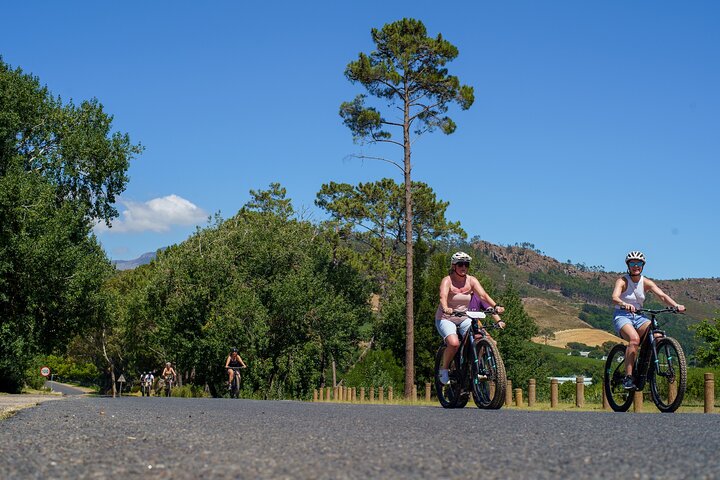 Franschhoek Luxury Winelands EBike Tour