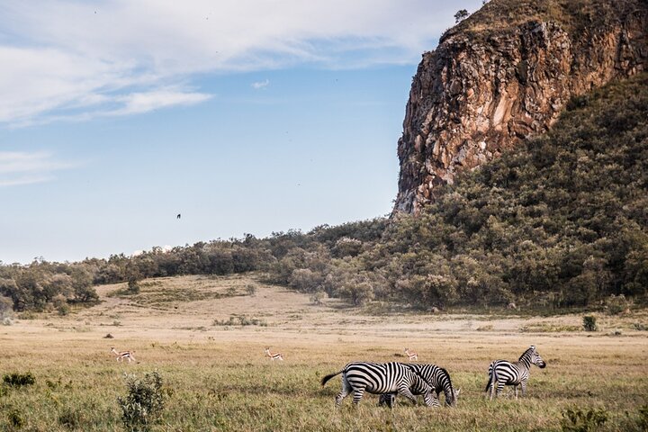 Day Trip to Hell's Gate National Park and Lake Naivasha