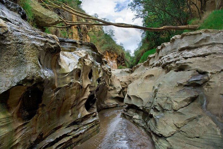 Day Trip to Hell's Gate National Park and Lake Naivasha