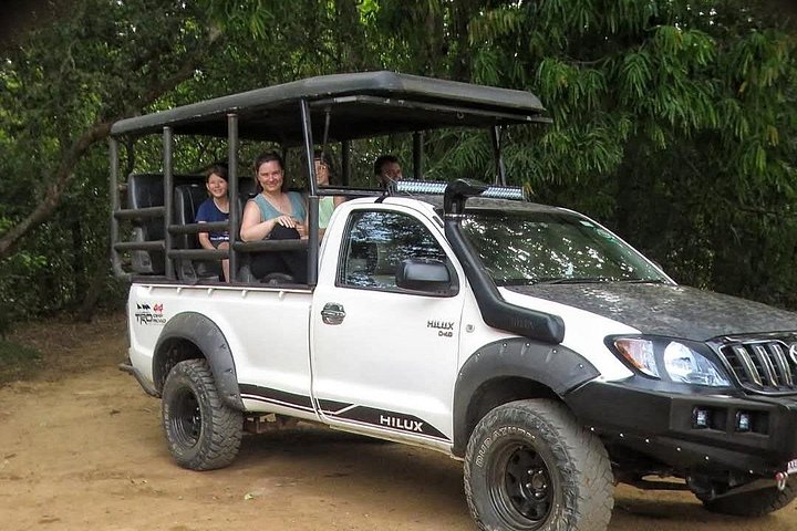 Yala National Park Safari Tours from Hambantota Port