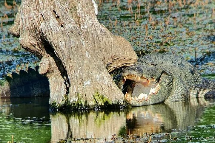 Yala National Park Safari Tours from Hambantota Port