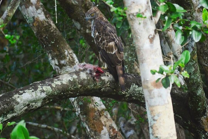 Yala National Park Safari Tours from Hambantota Port